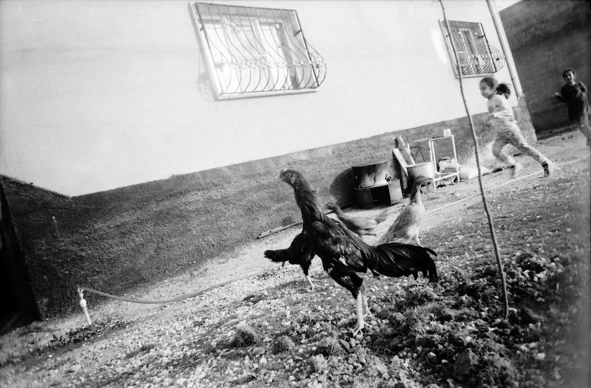 They Did Not Stop at Eboli. David Seymour e la Calabria degli anni '50