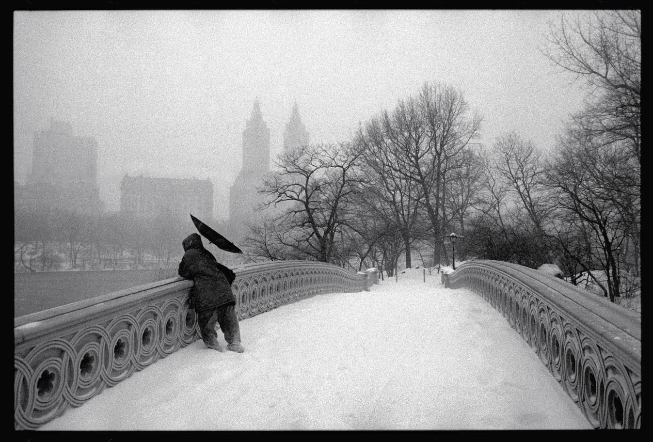 Matt Weber: il fotografo tassista